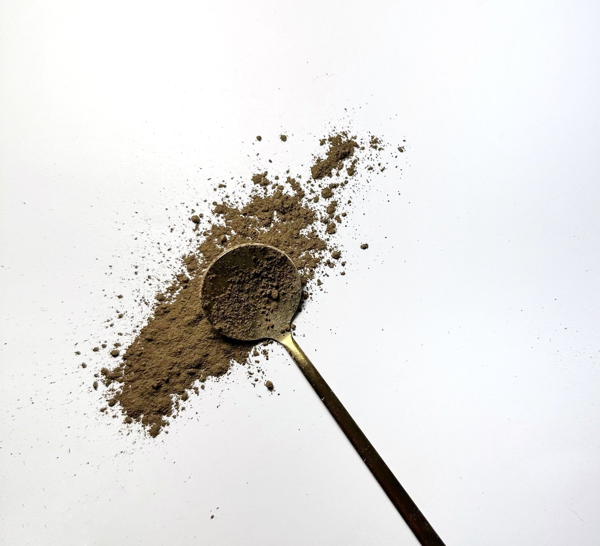 Adri Wellness's fine organic Tulsi (Holy basil) powder scattered on a white surface with a golden spoon