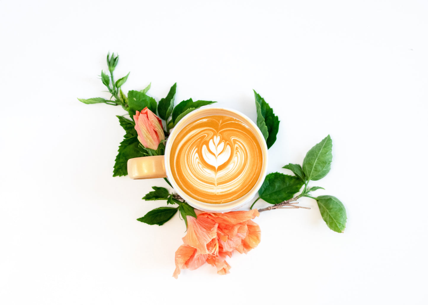 a cup of latte with latte art made with Adri Wellness' Hibiscus Powder with fresh hibiscus flowers and leaves used as decoration around the cup