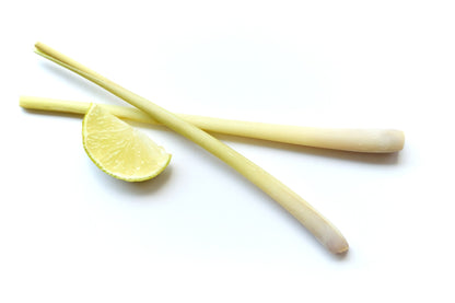 two fresh lemongrass sticks with a slice of lemon on a white background